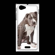 Coque Sony Xpéria J American staffordshire bull terrier