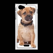 Coque Sony Xpéria J Cavalier king charles 700