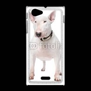 Coque Sony Xpéria J Bull Terrier blanc 600