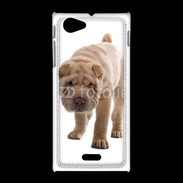 Coque Sony Xpéria J Shar Pei puppy 600