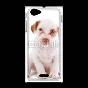 Coque Sony Xpéria J Jack russel terrier puppy 810