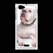 Coque Sony Xpéria J Bulldog Américain 600