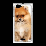 Coque Sony Xpéria J Spitz Dog 800