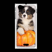 Coque Sony Xpéria J Chiot Berger Australien 25