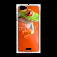 Coque Sony Xpéria J grenouille