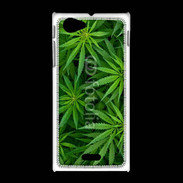 Coque Sony Xpéria J Feuilles de marijuana