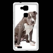Coque Huawei Ascend Mate 7 American staffordshire bull terrier