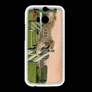 Coque HTC One M8 Agility Golden retriever