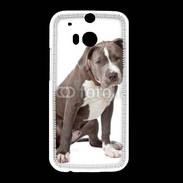 Coque HTC One M8 American staffordshire bull terrier