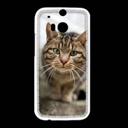 Coque HTC One M8 Portrait de chat PR