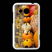 Coque HTC Desire 200 Citrouilles