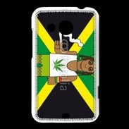 Coque HTC Desire 200 Rasta drapeau 10