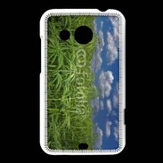 Coque HTC Desire 200 Champs de cannabis