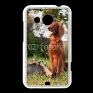 Coque HTC Desire 200 chien de chasse 300