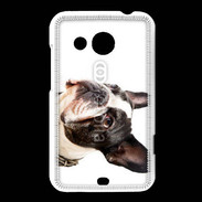 Coque HTC Desire 200 Bulldog français 1