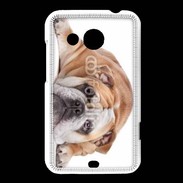 Coque HTC Desire 200 Bulldog anglais 2