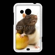 Coque HTC Desire 200 Rat bicouleur