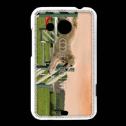 Coque HTC Desire 200 Agility Golden retriever