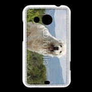 Coque HTC Desire 200 Berger des pyrennées