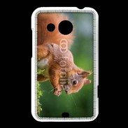Coque HTC Desire 200 Ecureuil avec des noisettes