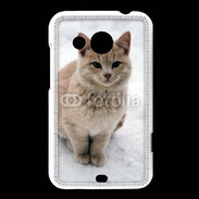 Coque HTC Desire 200 Chat dans la neige