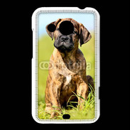 Coque HTC Desire 200 Portrait d'un mastiff