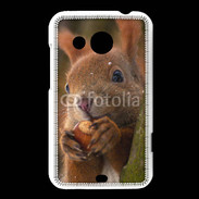 Coque HTC Desire 200 Portrait d'un écureuil avec une noisette