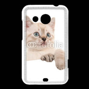 Coque HTC Desire 200 Petit chaton en portrait