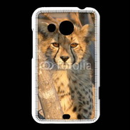 Coque HTC Desire 200 Jeune félin