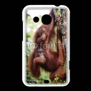 Coque HTC Desire 200 Famille de singe 50