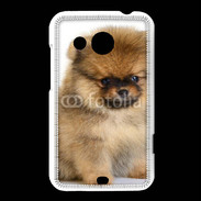 Coque HTC Desire 200 Chiot Pomeranian 15