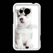 Coque HTC Desire 200 Chiot Husky Sibérien 500