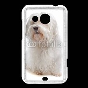 Coque HTC Desire 200 Bichon Maltais 600