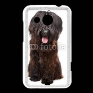 Coque HTC Desire 200 Briard adulte 600