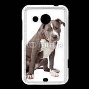 Coque HTC Desire 200 American staffordshire bull terrier