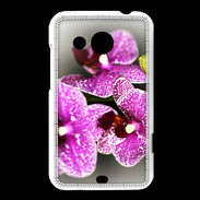 Coque HTC Desire 200 Belle Orchidée PR