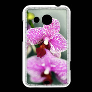 Coque HTC Desire 200 Belle Orchidée PR 50