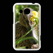 Coque HTC Desire 200 Canard sauvage PB 1