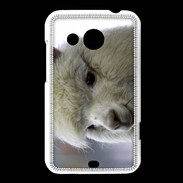 Coque HTC Desire 200 portrait de lama PB 1
