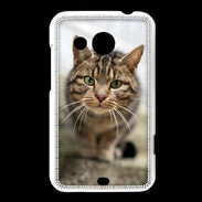 Coque HTC Desire 200 Portrait de chat PR