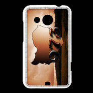 Coque HTC Desire 200 Guyane 973