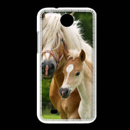 Coque HTC Desire 300 Cheval et poulain