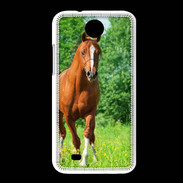 Coque HTC Desire 300 Cheval arabe robe marron et blanche