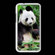 Coque HTC Desire 300 Panda gourmand