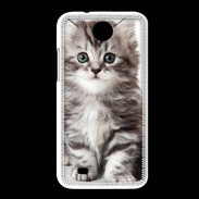 Coque HTC Desire 300 Chaton gris 