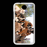 Coque HTC Desire 300 Chiots Boxer sur un tronc d''arbre