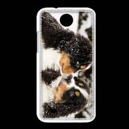 Coque HTC Desire 300 Chiot Saint Bernard