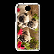Coque HTC Desire 300 Trio de chiots Carlin