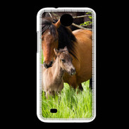 Coque HTC Desire 300 Cheval et poulain