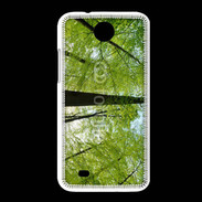 Coque HTC Desire 300 forêt